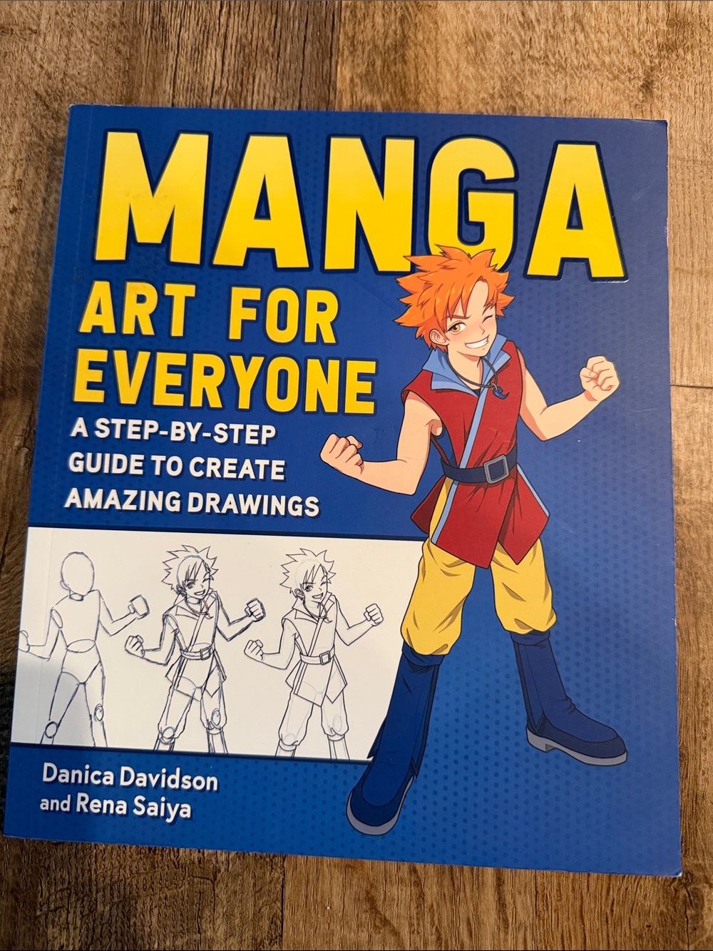 Manga Art for Everyone - Blue Cover Illustration Guide
